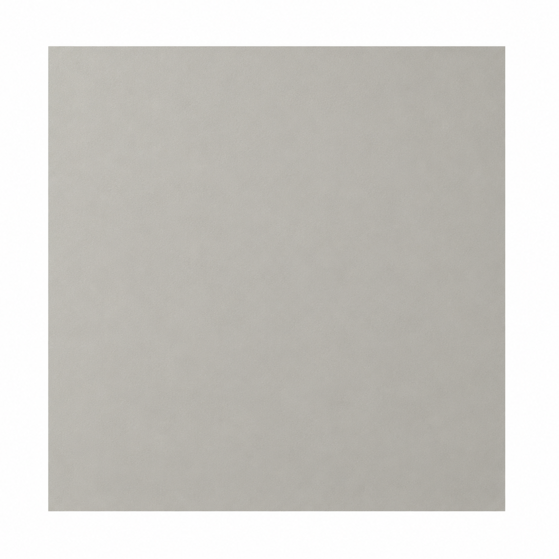 Solid light gray color swatch