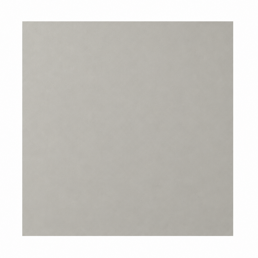 Solid light gray color swatch