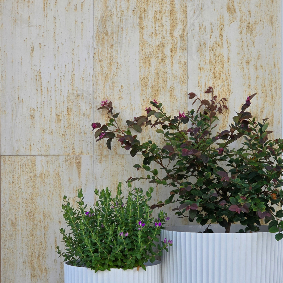 Soft Stone Travertine - Limestone